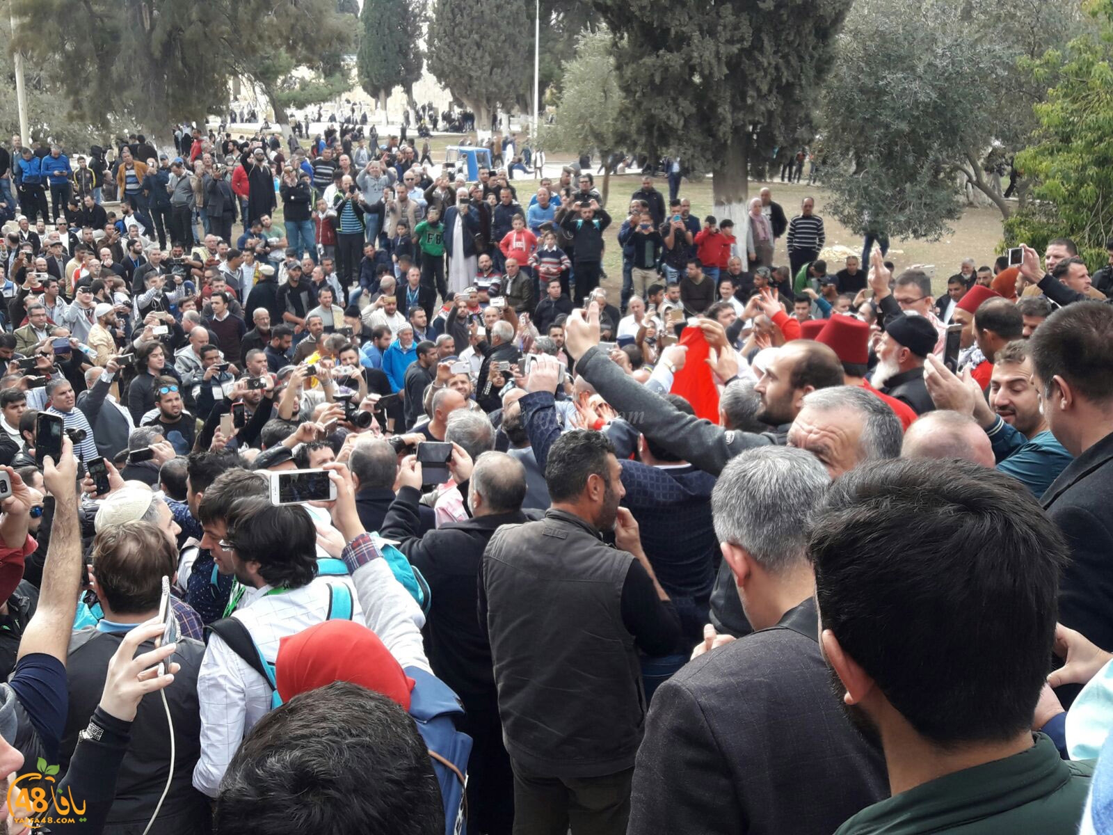 aqsa masirate (8).jpg